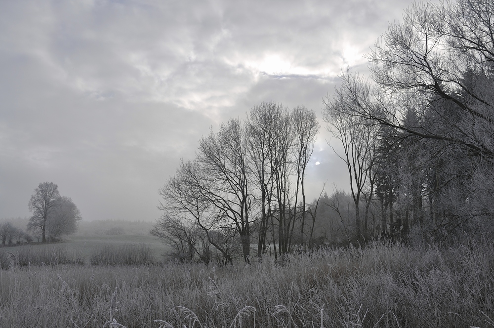 Zuckerguss am Morgen 2