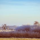 Zuckerguss und Himmelblau