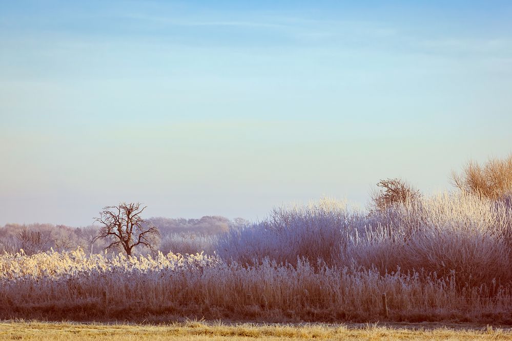 Zuckerguss und Himmelblau