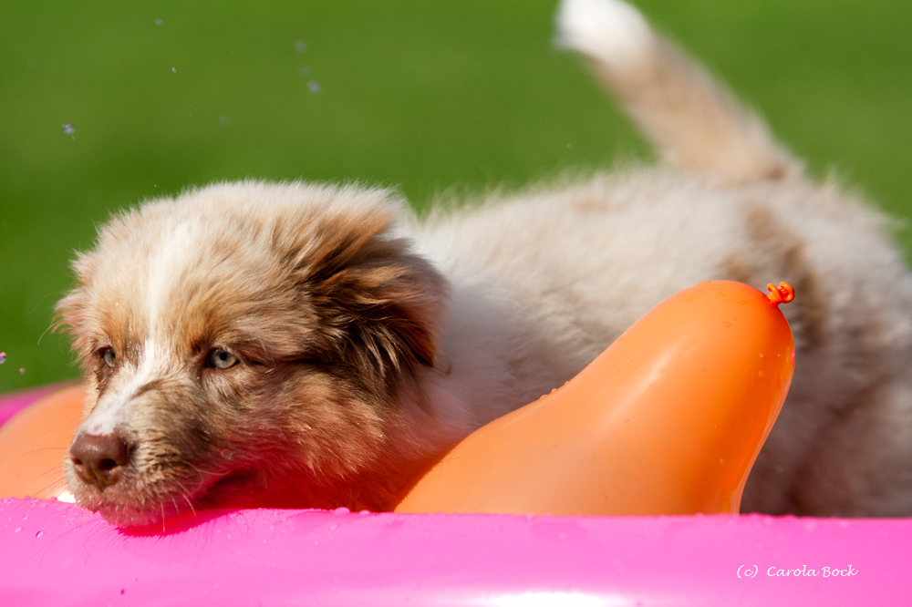 Zuckerpuppe im Pool