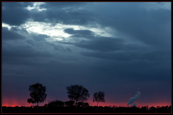 Zuckerrübenkampagne...