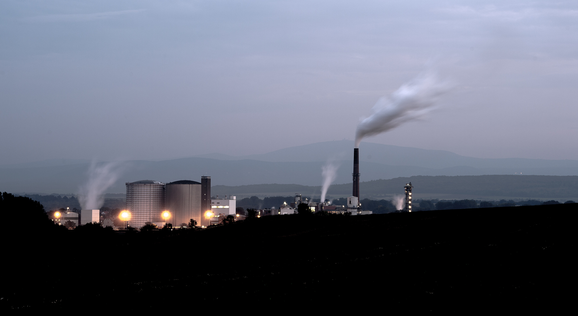 Zuckerrübenlandschaft