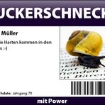 °°°Zuckerschnecke°°°