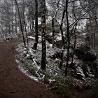 Zuckerschnee im Teuto Januar 2021 - Am Dreikaiserstuhl