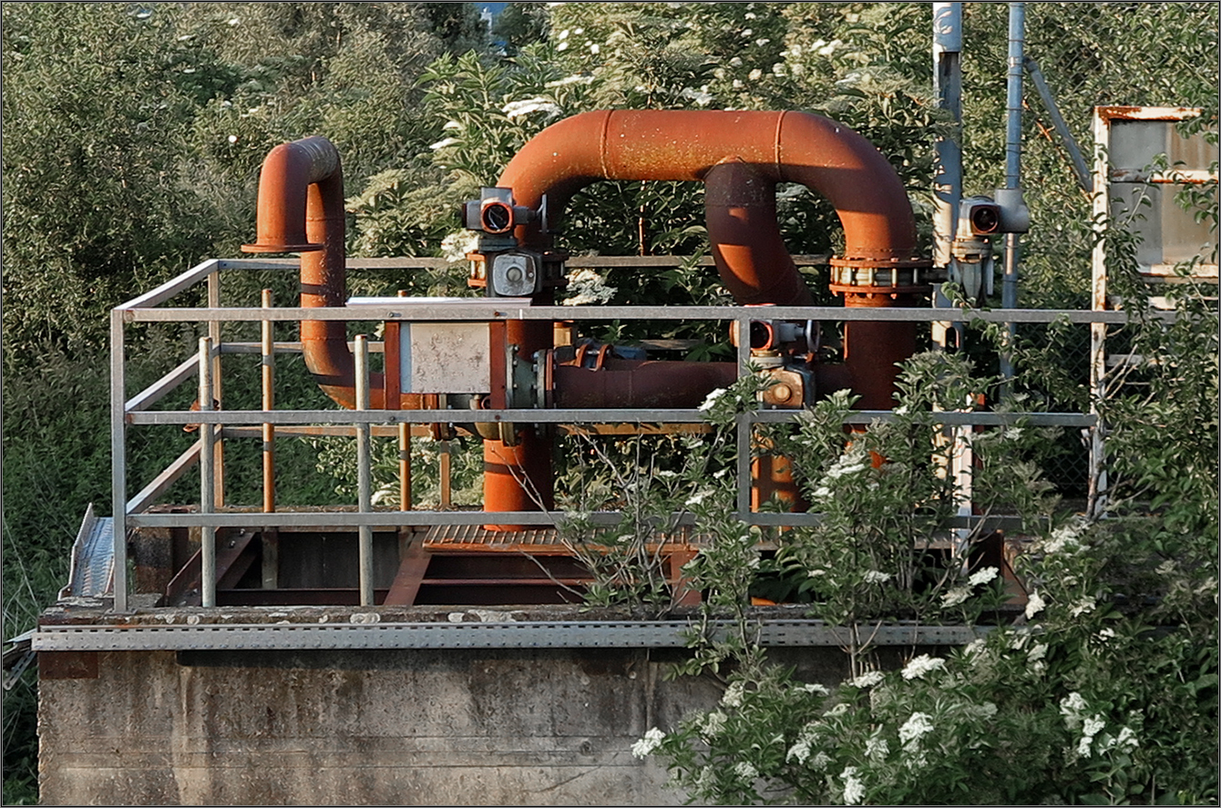 Zuckerteiche - Regensburg