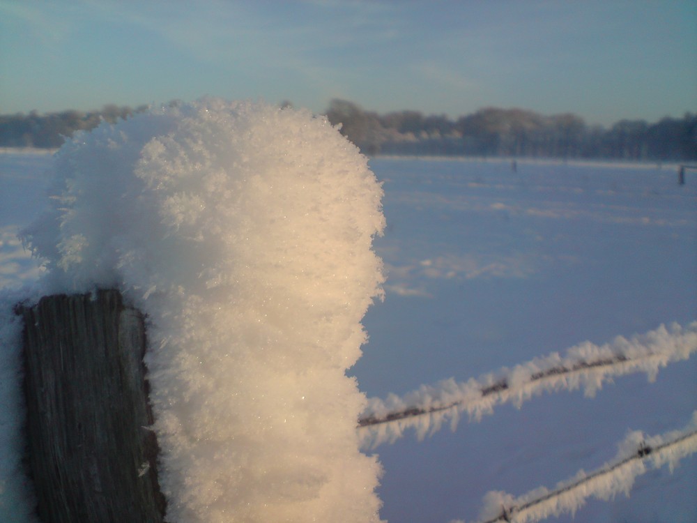 Zuckerwatte