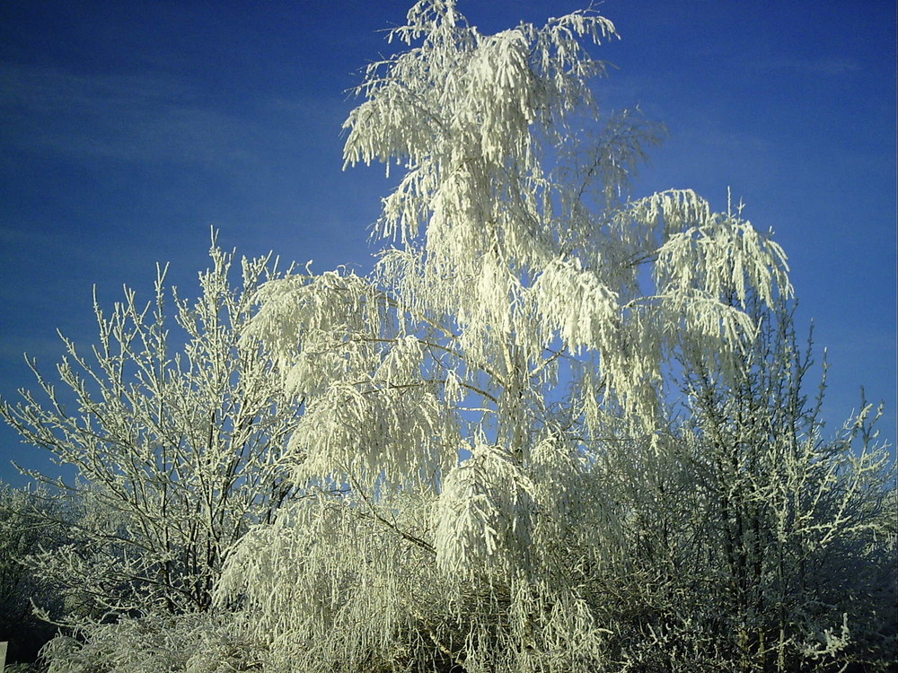 Zuckerwatte?