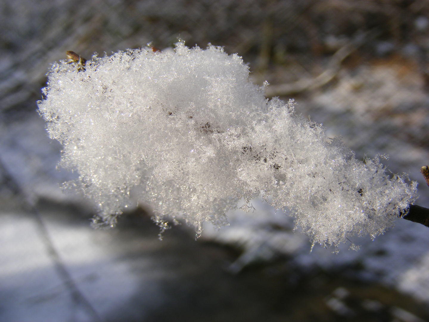 Zuckerwatte