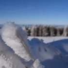 Zuckerwatte auf der Wasserkuppe