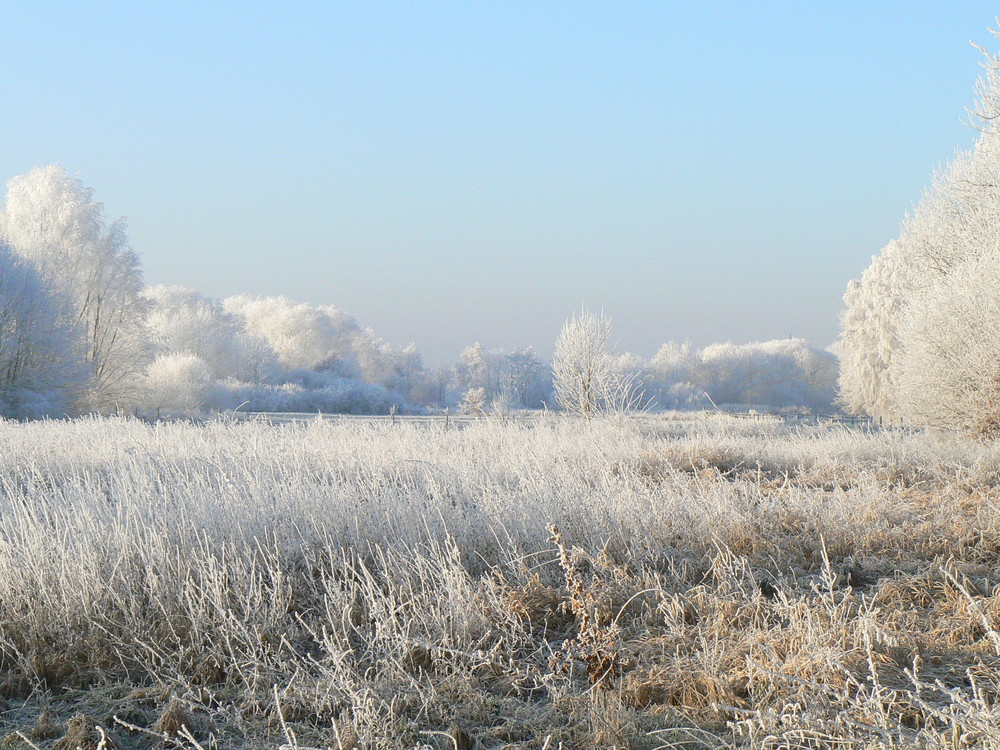 Zuckerwatte