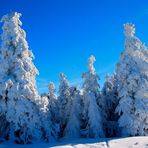 Zuckerwatte - eiskalt