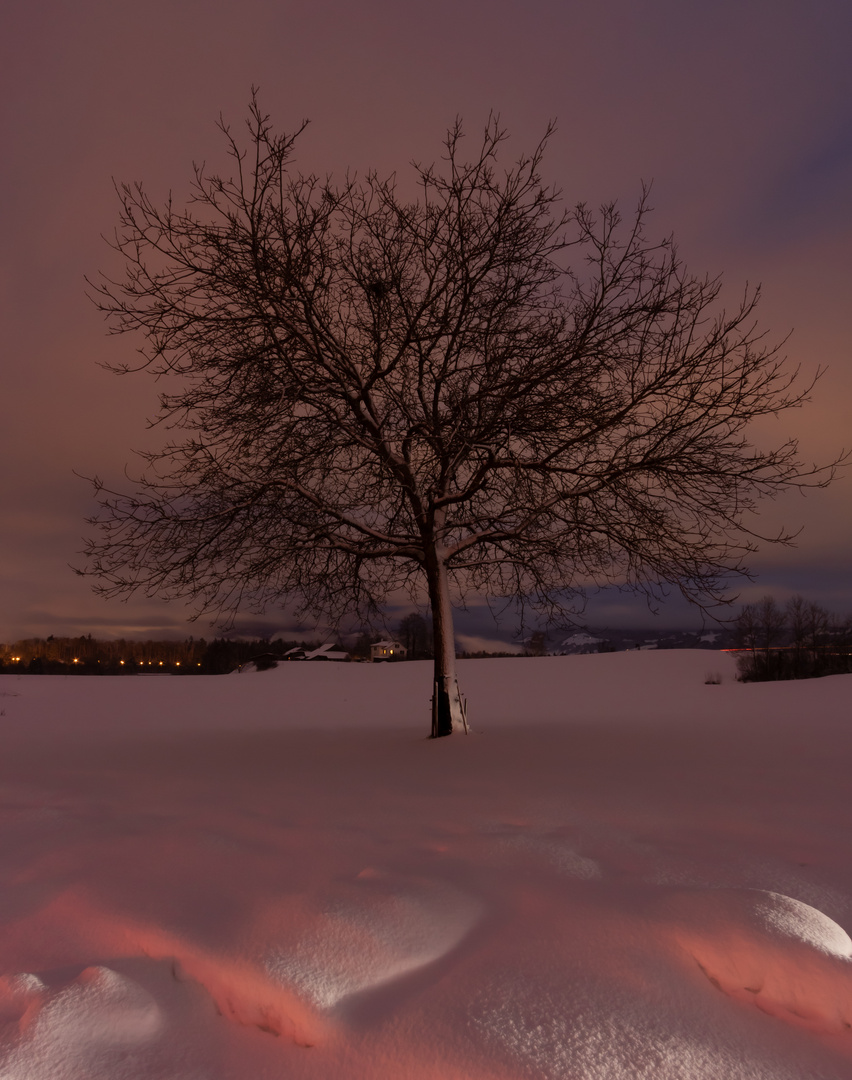 zuckerwatte