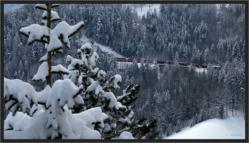 Züglein im Wald