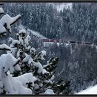 Züglein im Wald