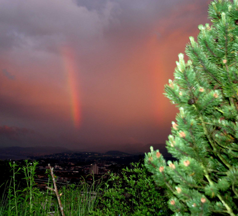 Zürcher Abendstimmung mit doppel Regenbogen