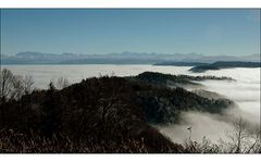 Zürcher Hausberg