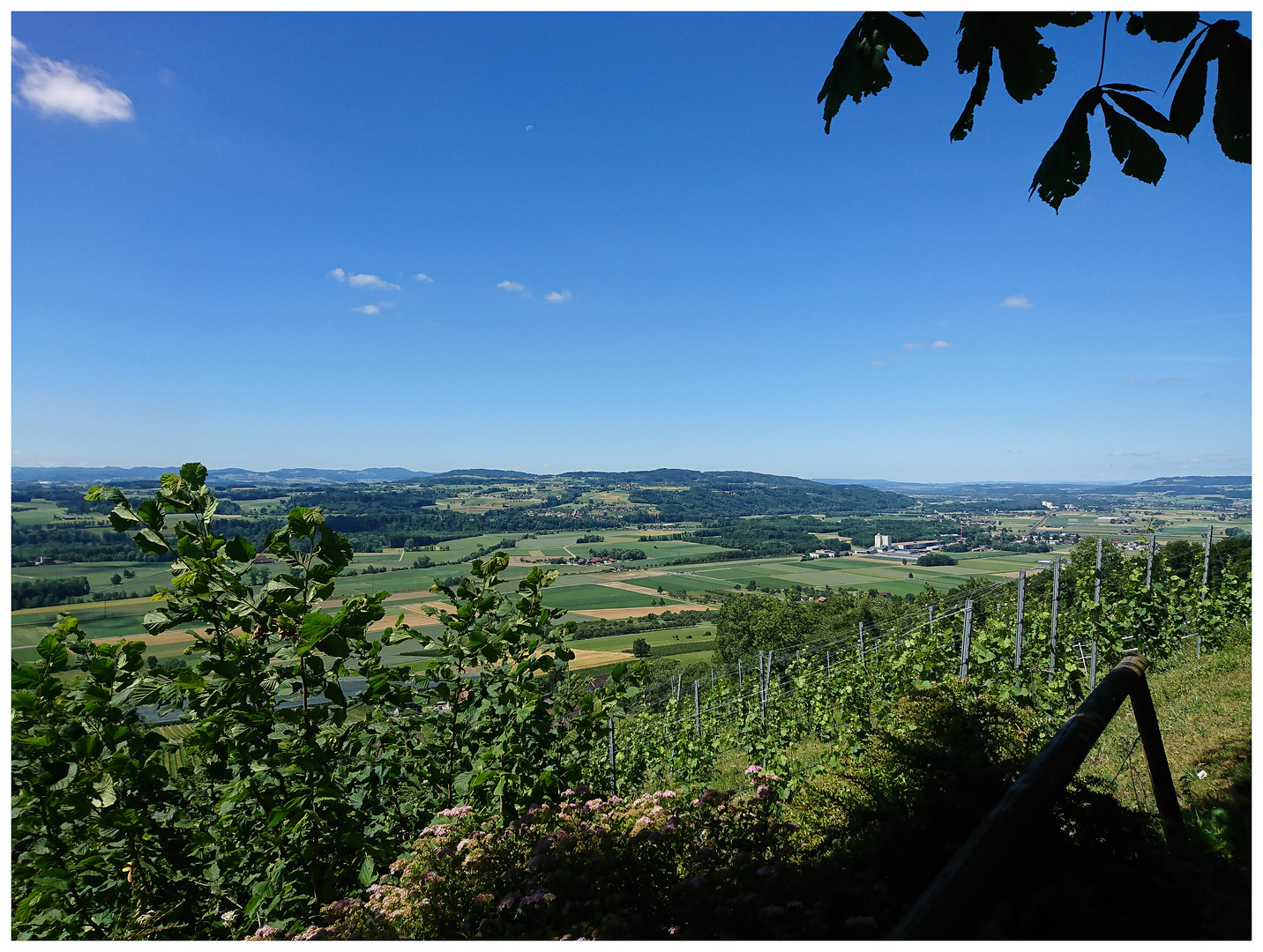 Zürcher Landschaft