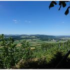 Zürcher Landschaft