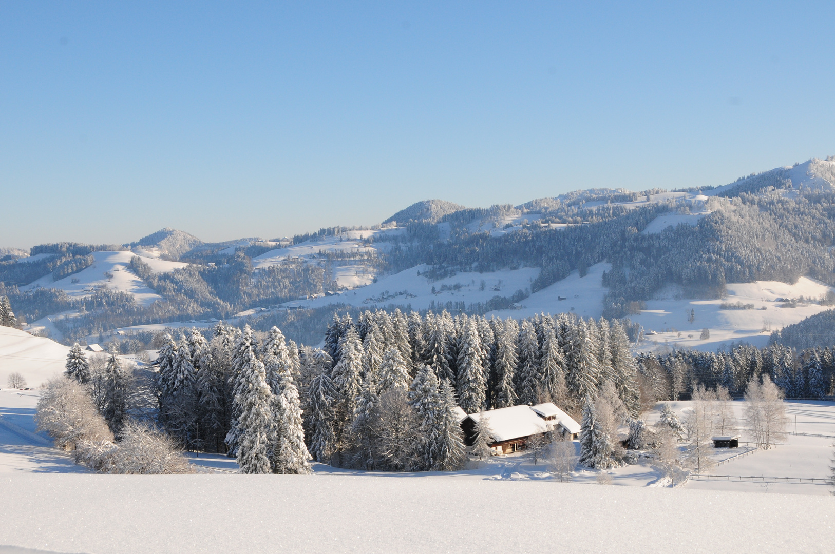 Zürcher Oberland