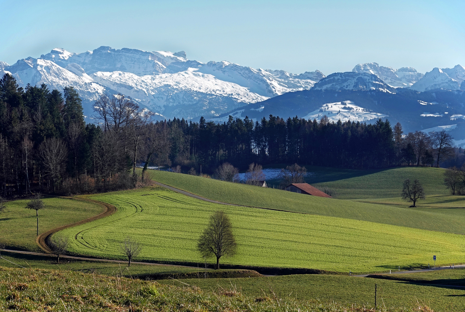 Zürcher-Oberland