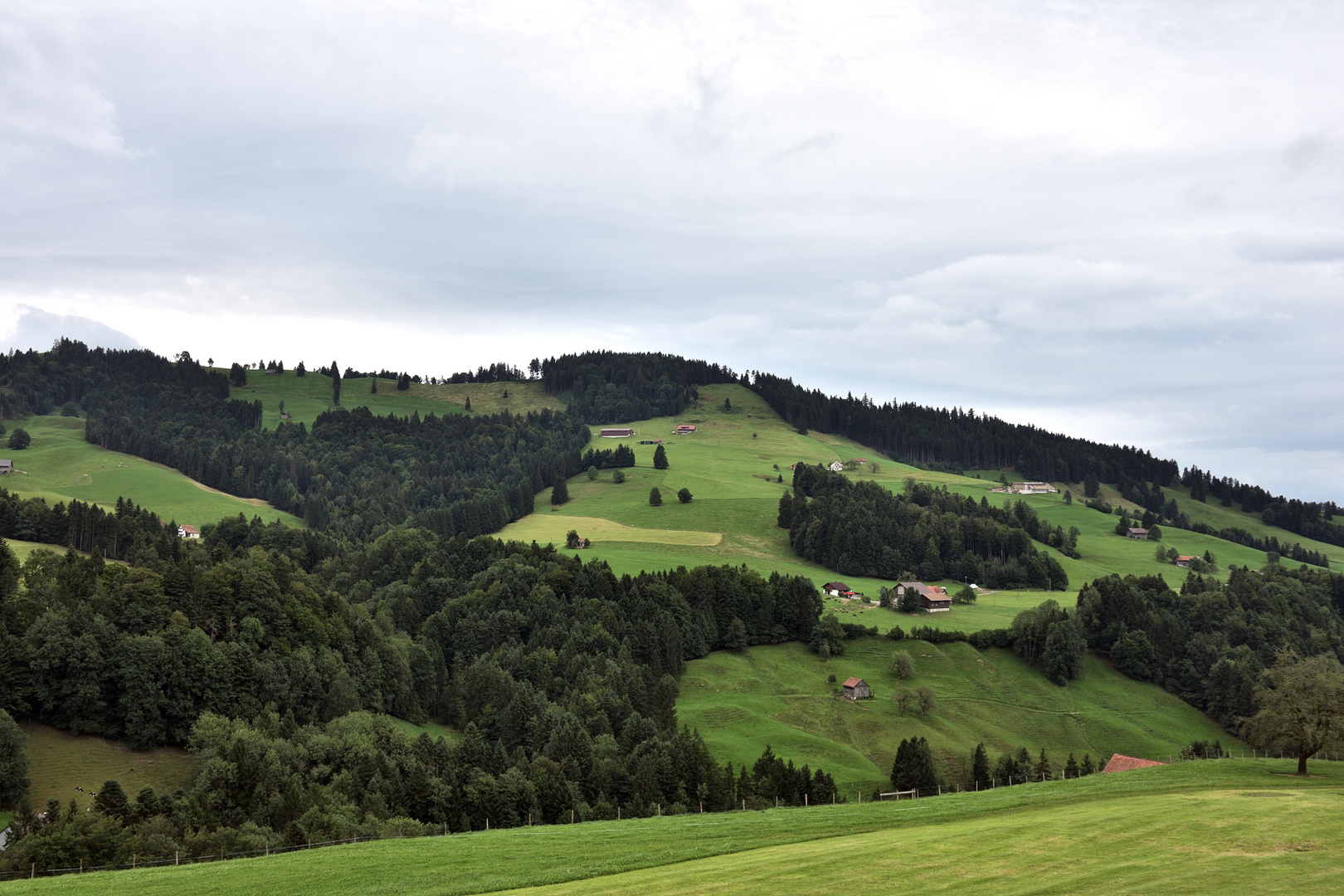 Zürcher Oberland2