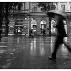 zürcher regenschicht