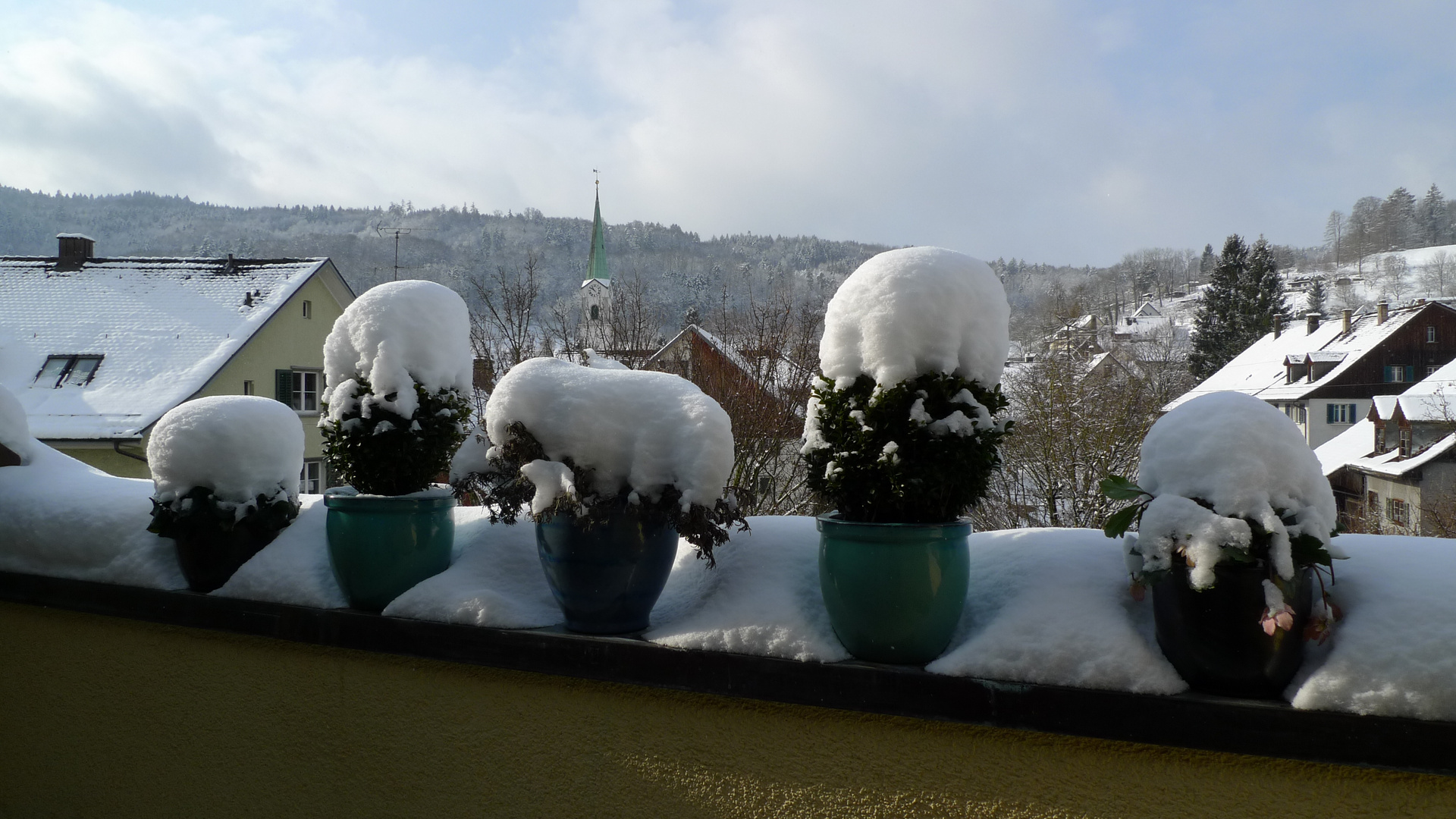 Zürcher Schneehauben