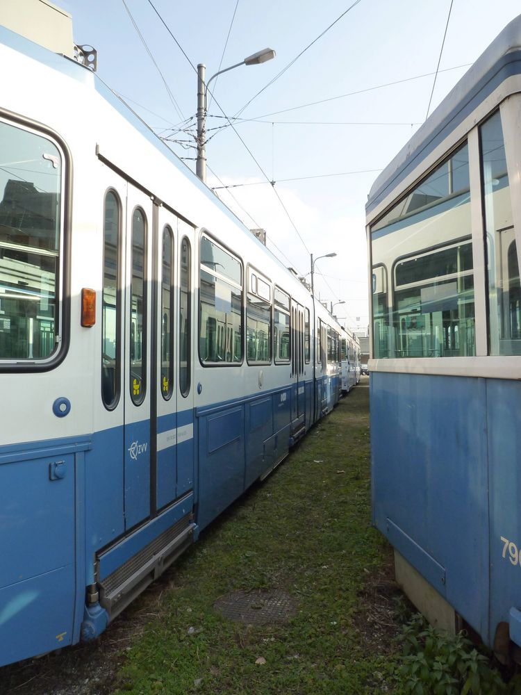 Zürcher Tram warten auf Ihren Einsatz ...