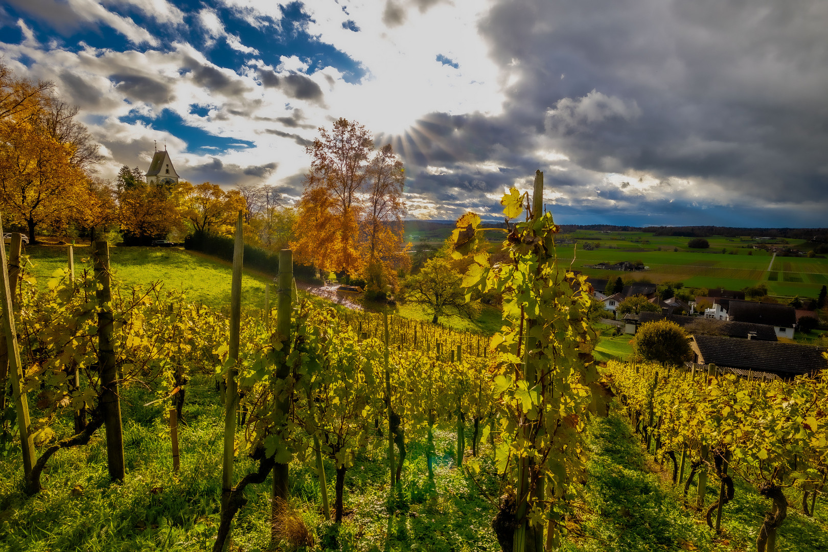 Zürcher Weinland