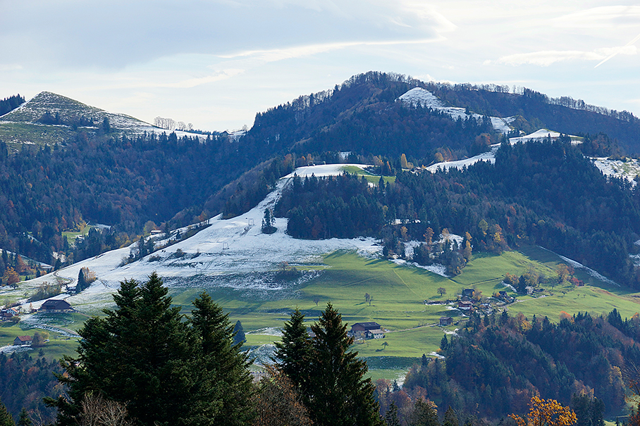 " Züri-Oberland "