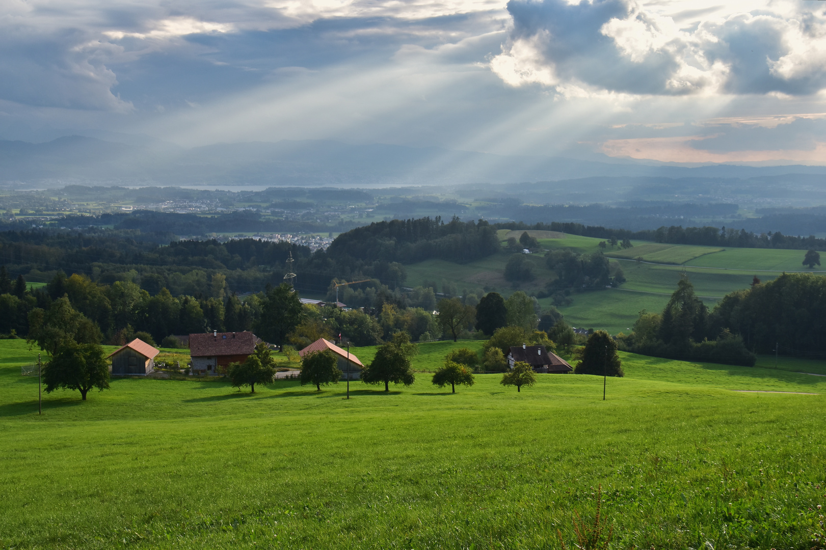 Züri Oberland Blick