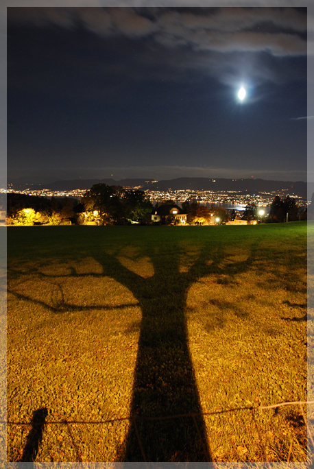 Zürich by Night