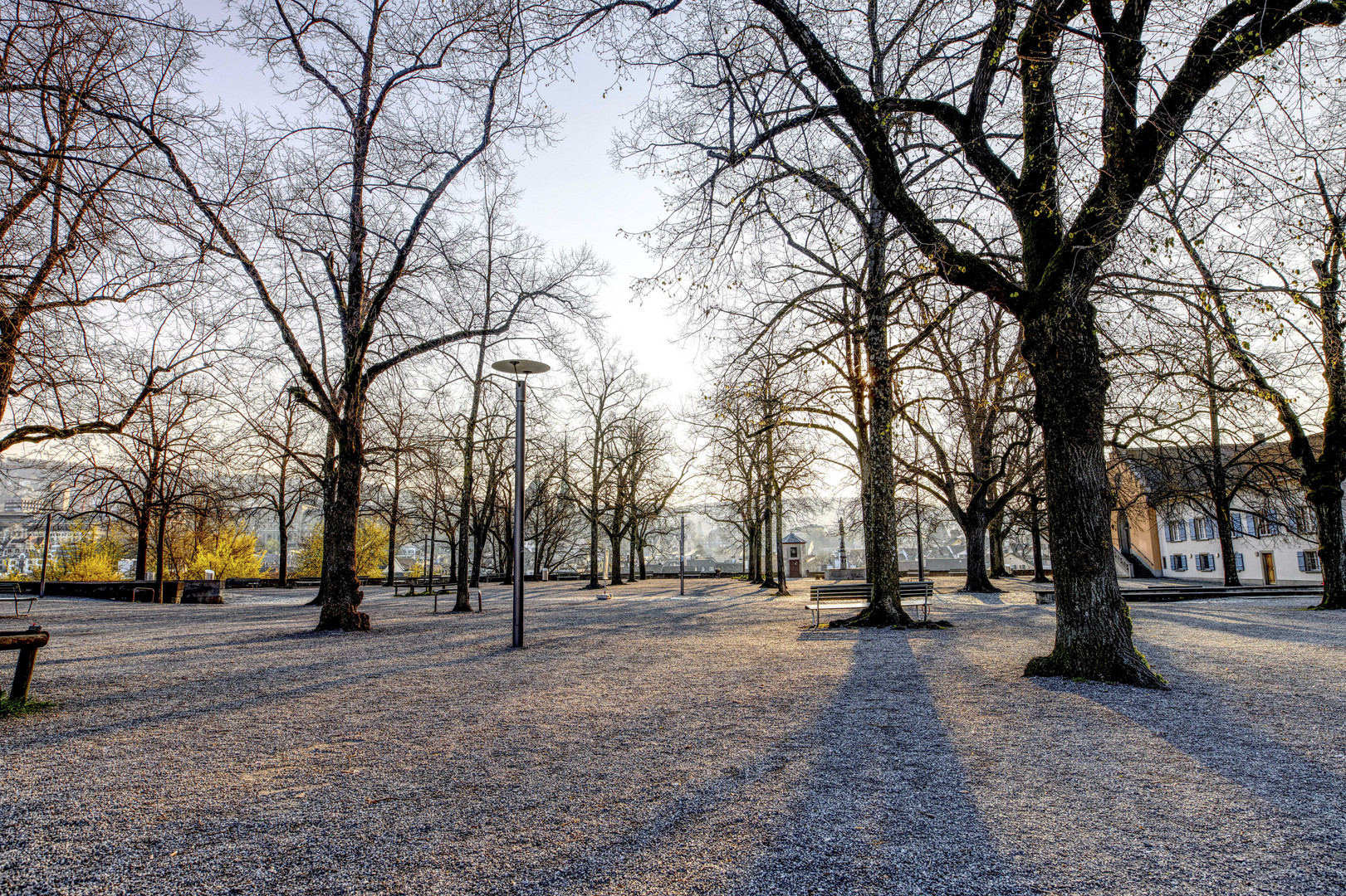 Zürich City, Lindenhof freitagmorgens 2020