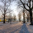 Zürich City, Lindenhof freitagmorgens 2020