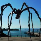 Zürich - die Spinne mit Blick auf See - Skulptur von Louise Bourgeois