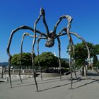 Zürich - die Spinne - Skulptur von Louise Bourgeois