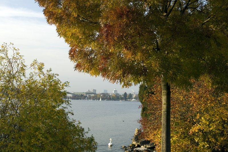 Zürich durch den Herbst