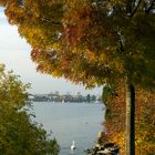 Zürich durch den Herbst