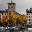 Zürich Herbstfarben