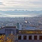 Zürich im grauen November