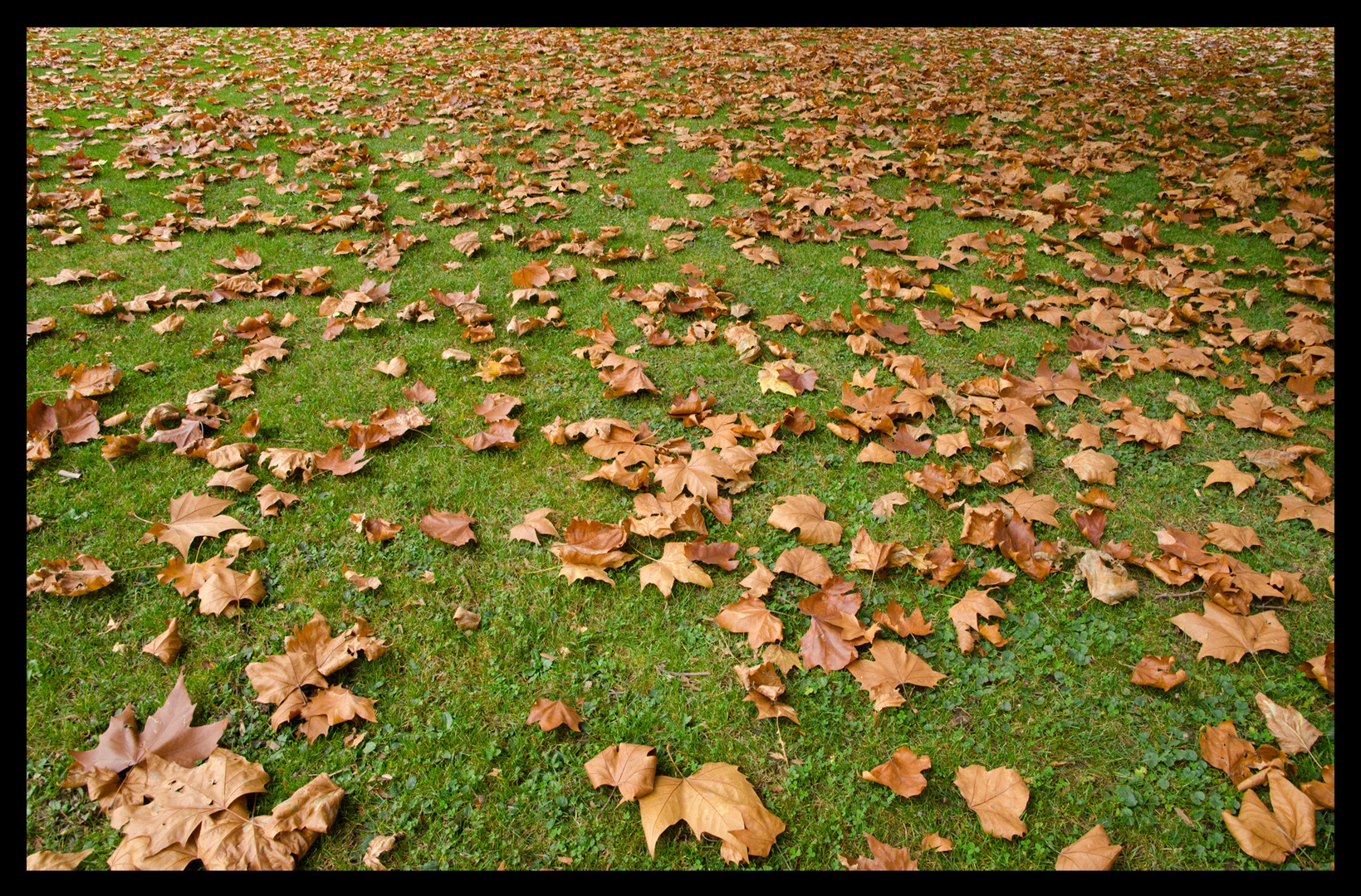 Zürich im November