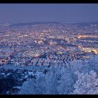 Zürich in der Eiszeit