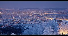 Zürich in der Eiszeit