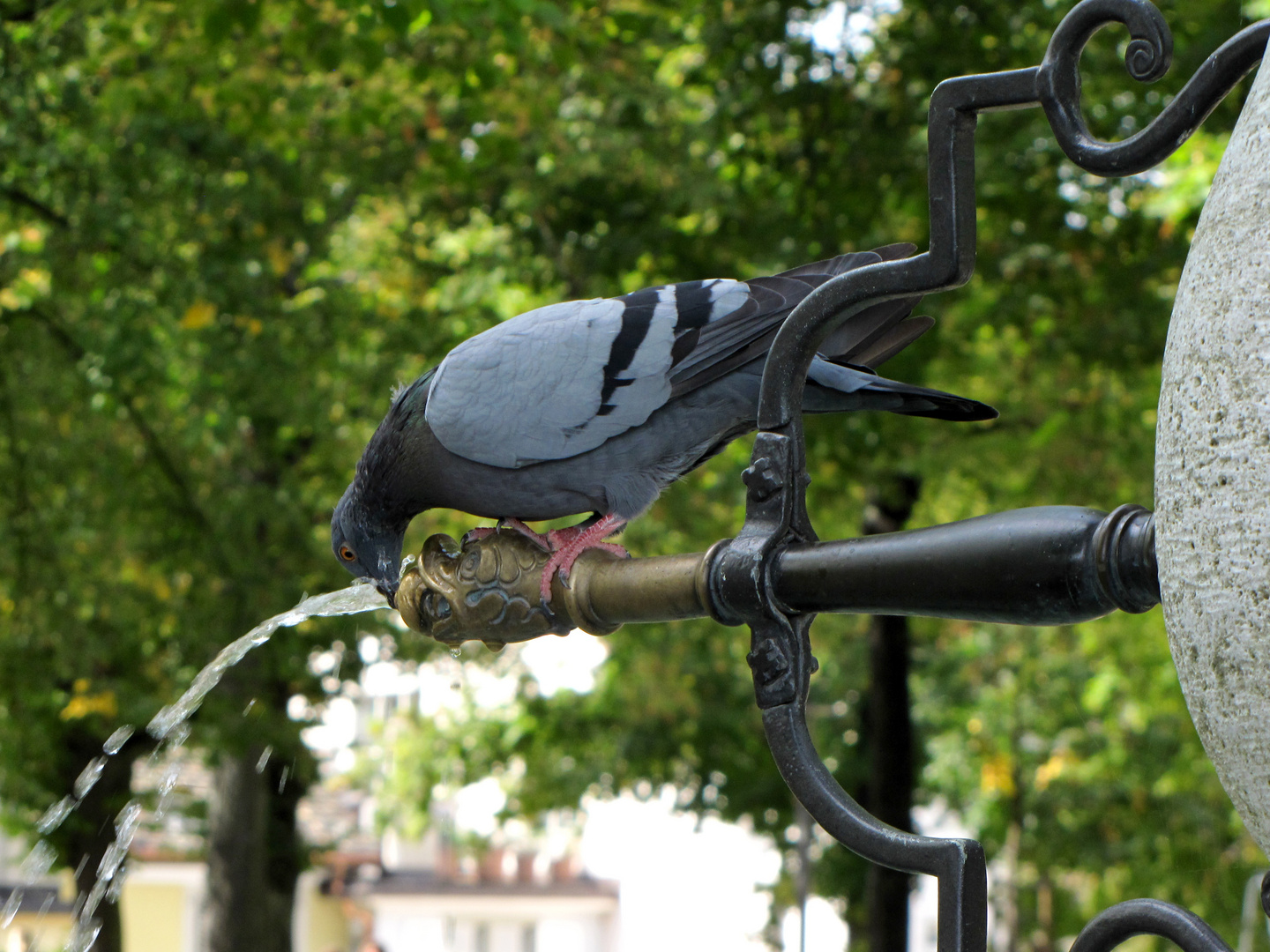 Zürich Lindenhof