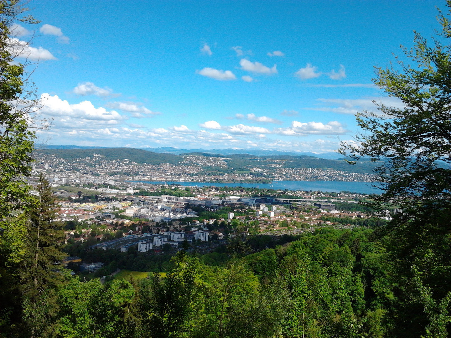 Zürich vom Uetliberg aus