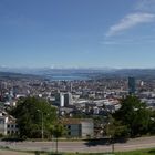 Zürich Waid Panorama
