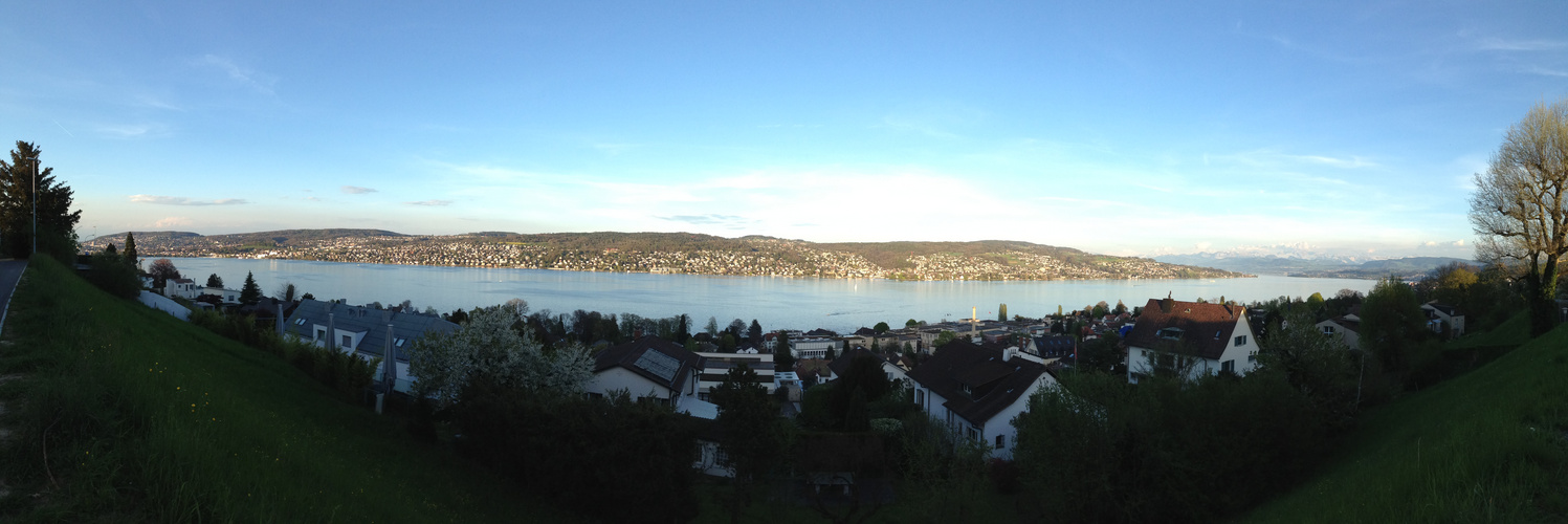 Zürichsee 1