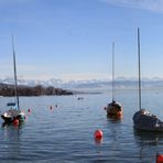 Zürichsee