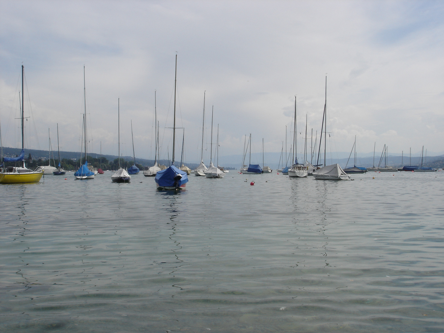 Zürichsee