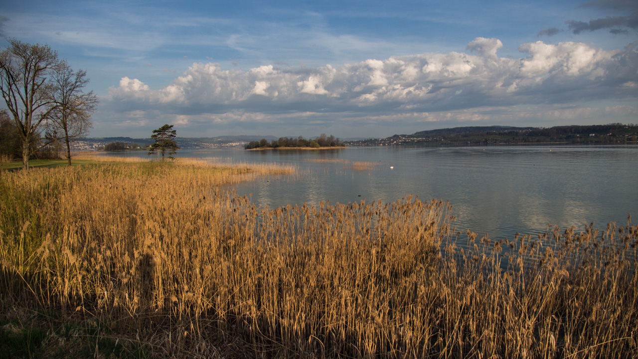 Zürichsee